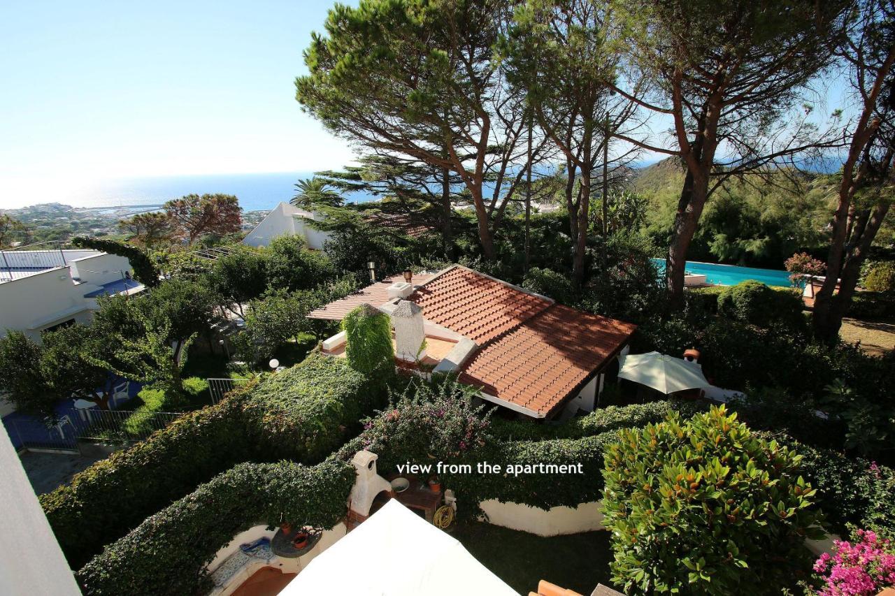 Lacco Terrace Solarium Lacco Ameno  Buitenkant foto